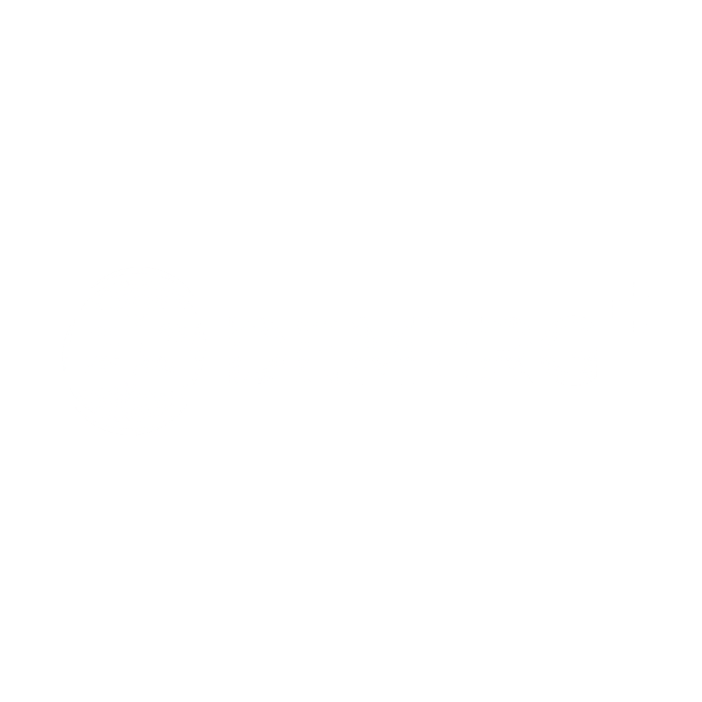 Demerg Systems India Logo